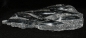 Preview: Orthoceras